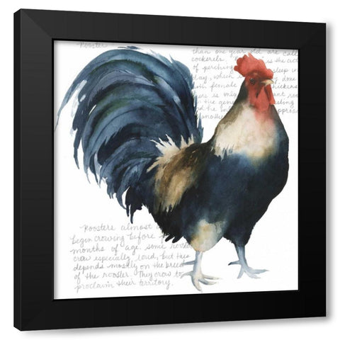 Roosters Crow I Black Modern Wood Framed Art Print with Double Matting by Popp, Grace