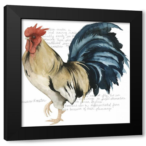 Roosters Crow II Black Modern Wood Framed Art Print with Double Matting by Popp, Grace