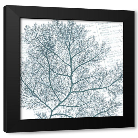 Aqua Marine II Black Modern Wood Framed Art Print by Hambly, Anna