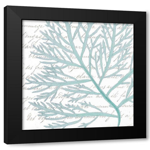 Aqua Marine VI Black Modern Wood Framed Art Print with Double Matting by Hambly, Anna