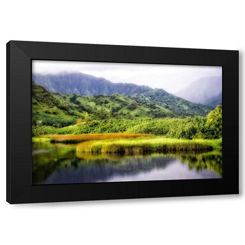 Coastal Marsh II Black Modern Wood Framed Art Print with Double Matting by Head, Danny
