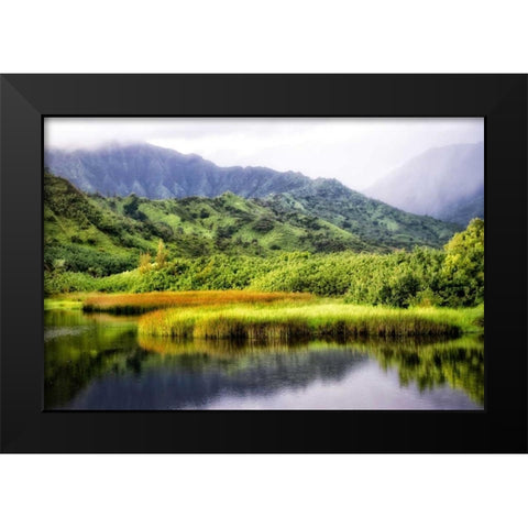 Coastal Marsh II Black Modern Wood Framed Art Print by Head, Danny