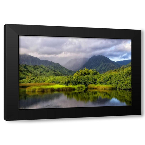 Coastal Marsh IV Black Modern Wood Framed Art Print by Head, Danny