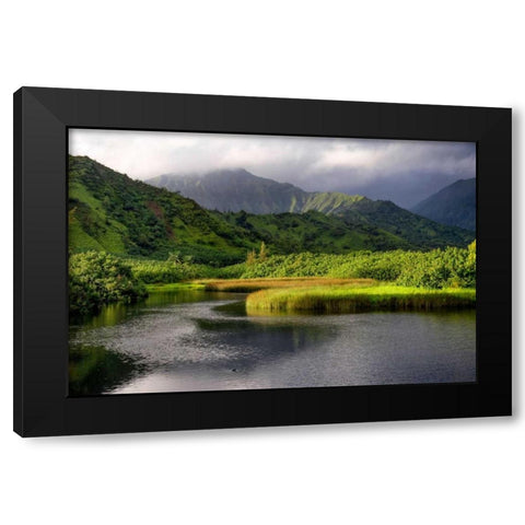 Coastal Marsh V Black Modern Wood Framed Art Print with Double Matting by Head, Danny