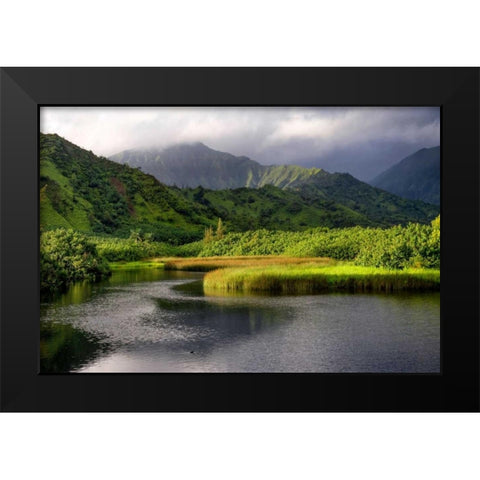 Coastal Marsh V Black Modern Wood Framed Art Print by Head, Danny