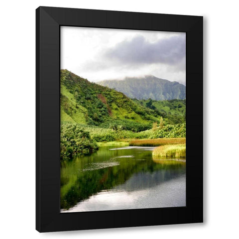 Coastal Marsh Triptych I Black Modern Wood Framed Art Print by Head, Danny