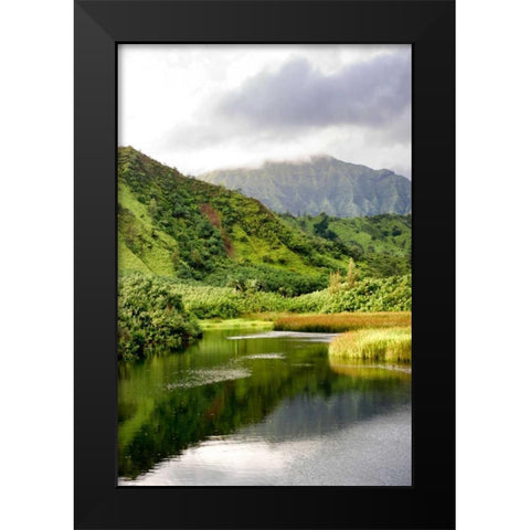Coastal Marsh Triptych I Black Modern Wood Framed Art Print by Head, Danny