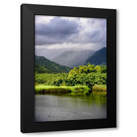 Coastal Marsh Triptych III Black Modern Wood Framed Art Print with Double Matting by Head, Danny