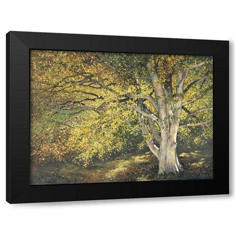 Custom Golden Light I (ASH) Black Modern Wood Framed Art Print by Reynolds, Graham
