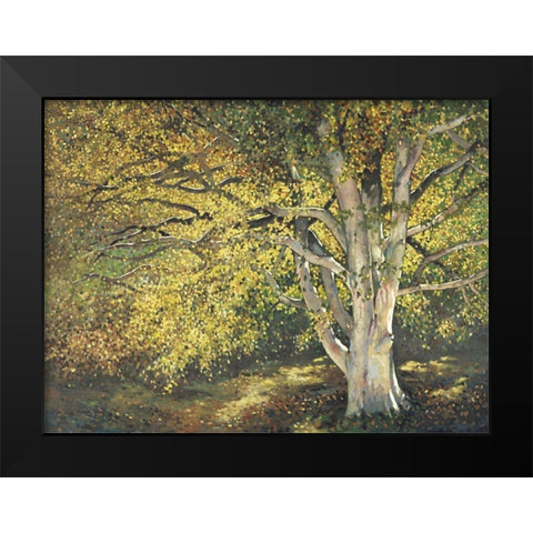Custom Golden Light I (ASH) Black Modern Wood Framed Art Print by Reynolds, Graham