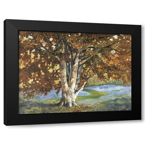 Custom Golden Light II (ASH) Black Modern Wood Framed Art Print with Double Matting by Reynolds, Graham