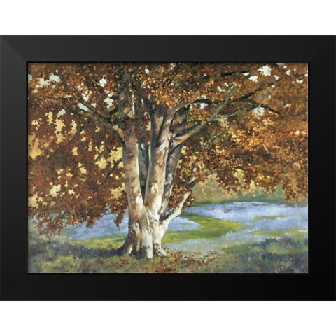 Custom Golden Light II (ASH) Black Modern Wood Framed Art Print by Reynolds, Graham