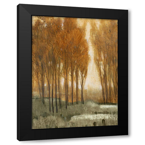 Custom Golden Forest II (ASH) Black Modern Wood Framed Art Print with Double Matting by OToole, Tim