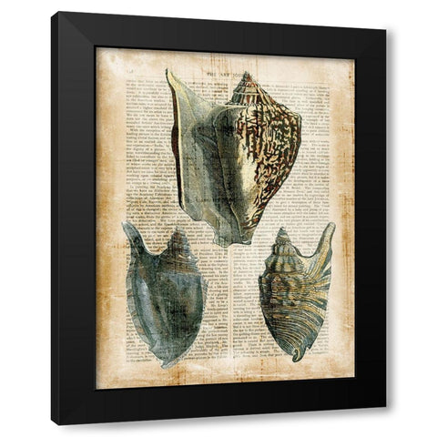 Small Antiquarian Seashells I Black Modern Wood Framed Art Print by Vision Studio