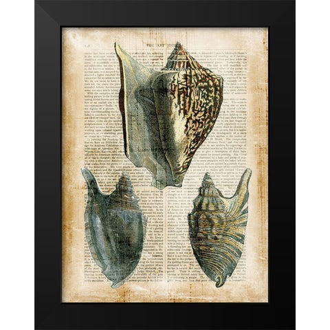 Small Antiquarian Seashells I Black Modern Wood Framed Art Print by Vision Studio