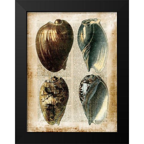 Small Antiquarian Seashells III Black Modern Wood Framed Art Print by Vision Studio