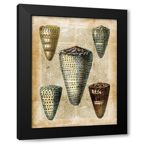 Small Antiquarian Seashells IV Black Modern Wood Framed Art Print with Double Matting by Vision Studio