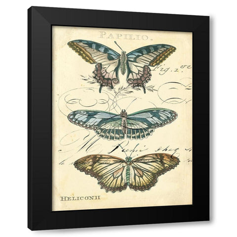 Custom Butterfly Ephemera I (GC) Black Modern Wood Framed Art Print with Double Matting by Zarris, Chariklia