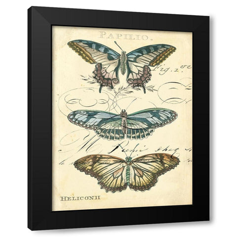 Custom Butterfly Ephemera I (GC) Black Modern Wood Framed Art Print by Zarris, Chariklia