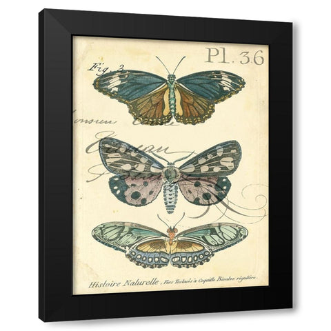 Custom Butterfly Ephemera III (GC) Black Modern Wood Framed Art Print with Double Matting by Zarris, Chariklia