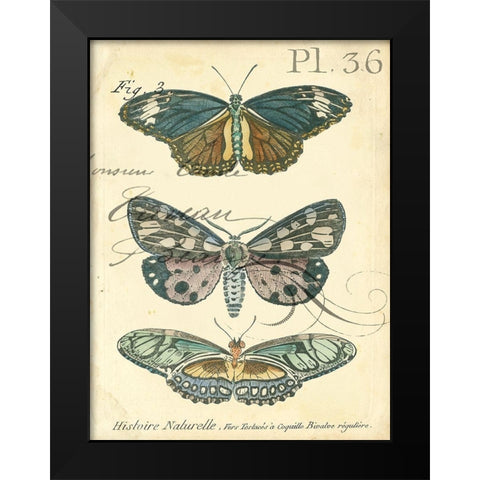 Custom Butterfly Ephemera III (GC) Black Modern Wood Framed Art Print by Zarris, Chariklia