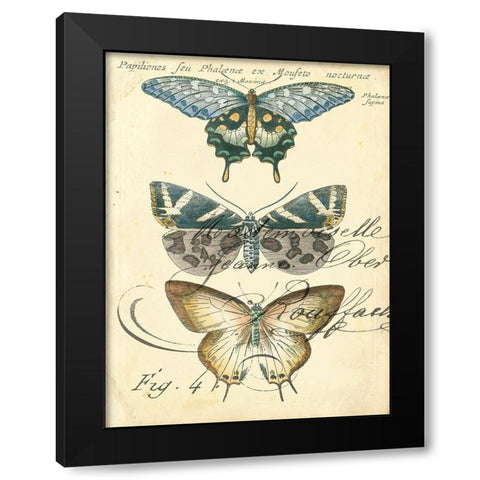 Custom Butterfly Ephemera IV (GC) Black Modern Wood Framed Art Print by Zarris, Chariklia