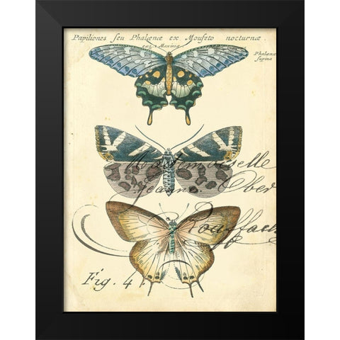 Custom Butterfly Ephemera IV (GC) Black Modern Wood Framed Art Print by Zarris, Chariklia