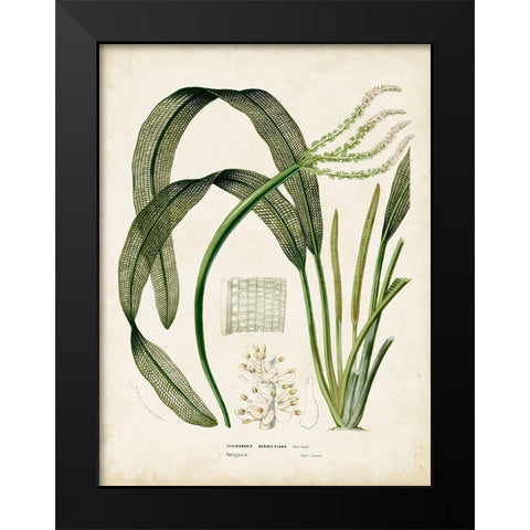 Small Tropical Grass I Black Modern Wood Framed Art Print by Vision Studio