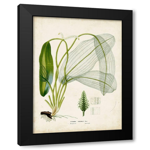 Small Tropical Grass II Black Modern Wood Framed Art Print with Double Matting by Vision Studio