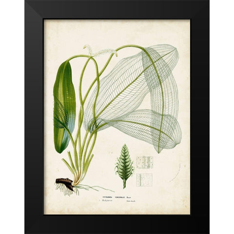 Small Tropical Grass II Black Modern Wood Framed Art Print by Vision Studio