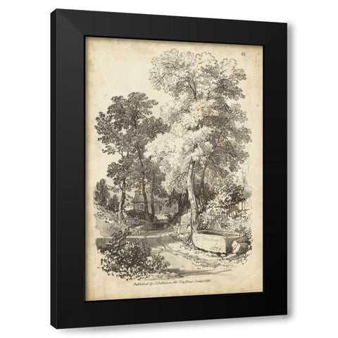 Noble Tree I Black Modern Wood Framed Art Print by Harding, J.D.