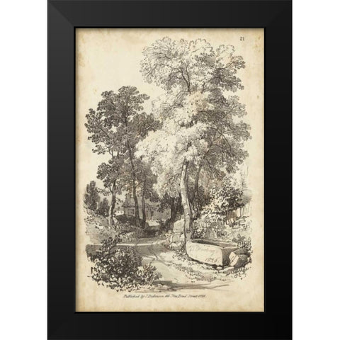 Noble Tree I Black Modern Wood Framed Art Print by Harding, J.D.