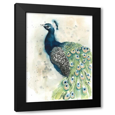 Watercolor Peacock Portrait II Black Modern Wood Framed Art Print by Popp, Grace