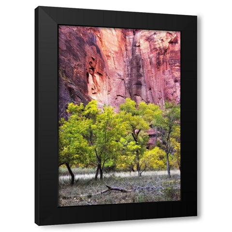 Canyon Cottonwoods Black Modern Wood Framed Art Print with Double Matting by Head, Danny