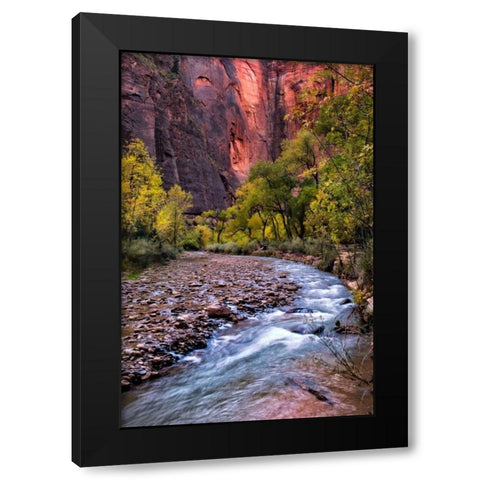 Looking Upstream II Black Modern Wood Framed Art Print by Head, Danny