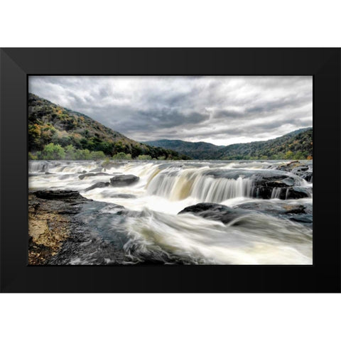 Who Flushed Black Modern Wood Framed Art Print by Head, Danny