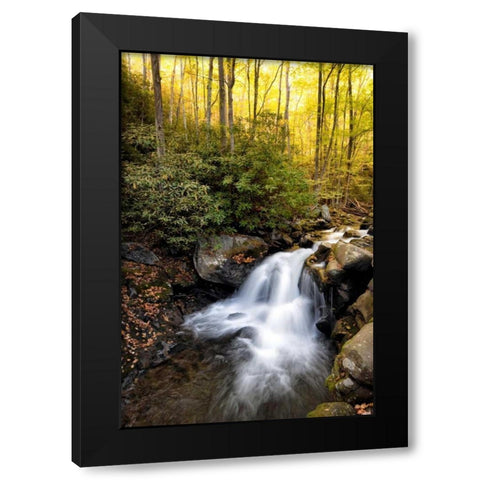 Spilled Milk Black Modern Wood Framed Art Print by Head, Danny