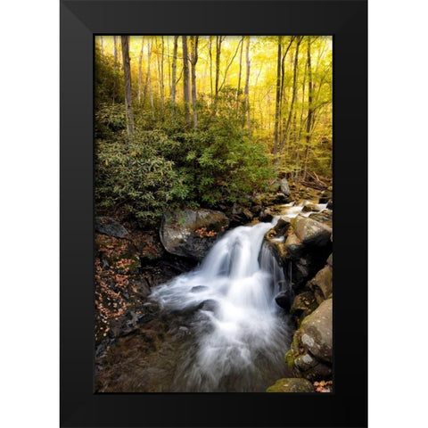 Spilled Milk Black Modern Wood Framed Art Print by Head, Danny