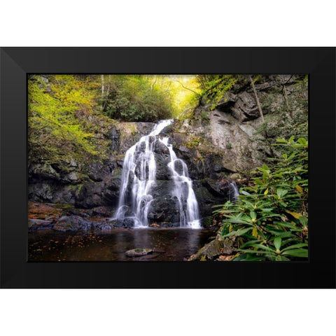 Spruce Flat Falls Black Modern Wood Framed Art Print by Head, Danny