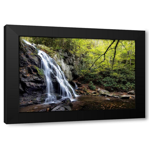 Spruce Flat Falls at Morning Black Modern Wood Framed Art Print with Double Matting by Head, Danny