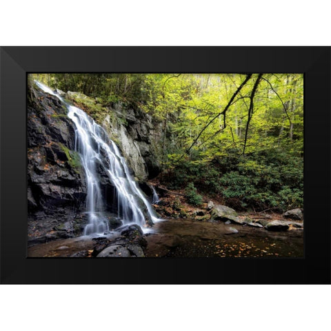 Spruce Flat Falls at Morning Black Modern Wood Framed Art Print by Head, Danny