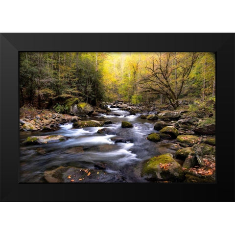 Nightfall on Tremont I Black Modern Wood Framed Art Print by Head, Danny