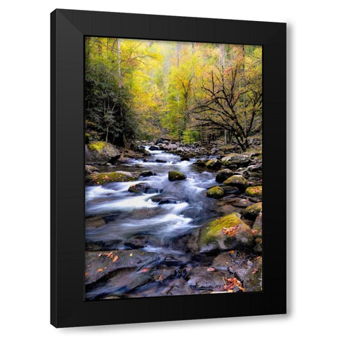 Nightfall on Tremont II Black Modern Wood Framed Art Print by Head, Danny