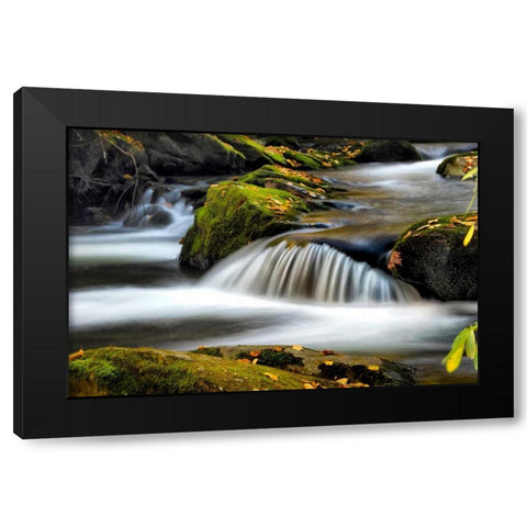 Close to Nature Black Modern Wood Framed Art Print by Head, Danny