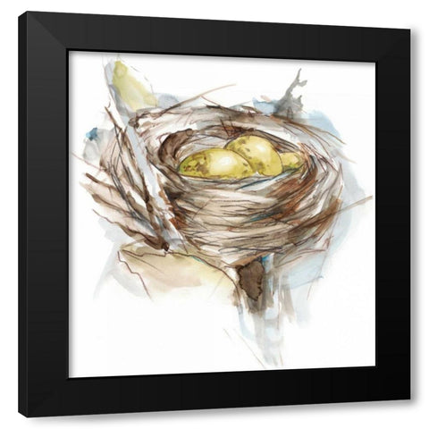 Bird Nest Study III Black Modern Wood Framed Art Print with Double Matting by Harper, Ethan