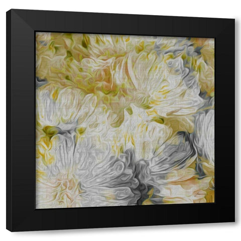 Mums in Sun I Black Modern Wood Framed Art Print by Burghardt, James