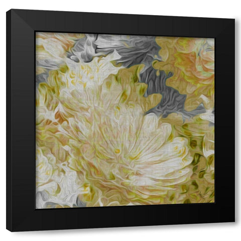Mums in Sun II Black Modern Wood Framed Art Print with Double Matting by Burghardt, James