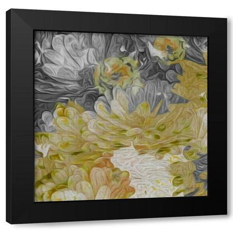 Mums in Sun III Black Modern Wood Framed Art Print by Burghardt, James