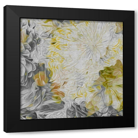 Mums in Sun IV Black Modern Wood Framed Art Print by Burghardt, James