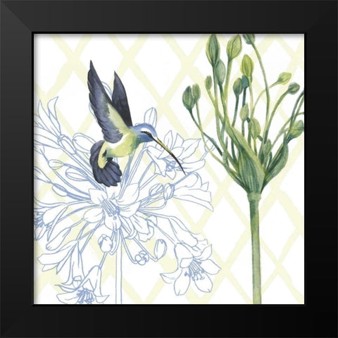 Hummingbird Dance III Black Modern Wood Framed Art Print by Popp, Grace